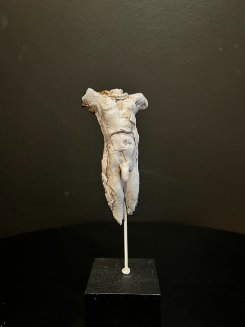 Guardian #7 // Paul Gruer