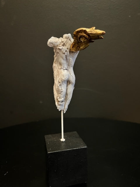 Guardian #7 // Paul Gruer