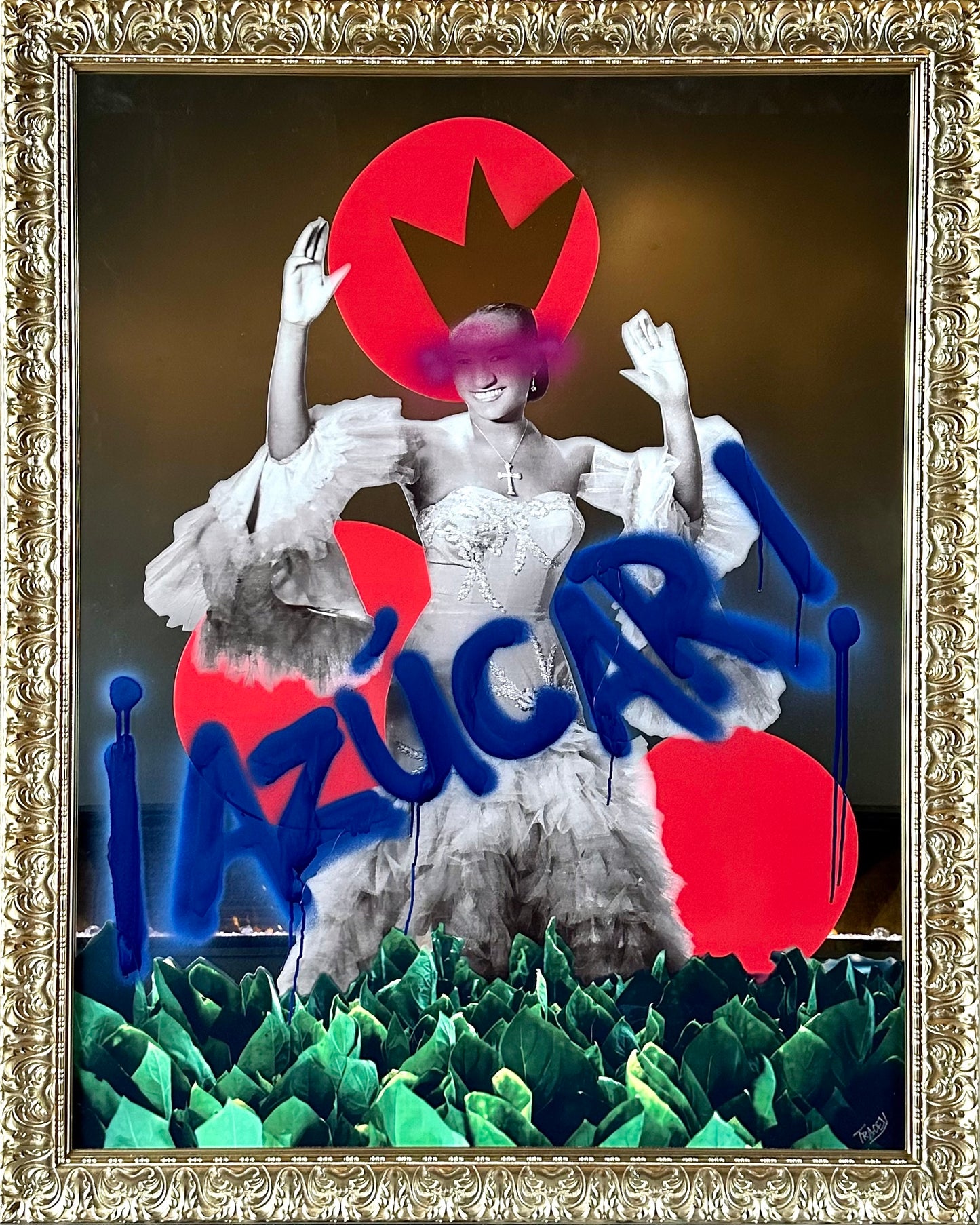 ¡AZÚCAR! // Tracey Mose